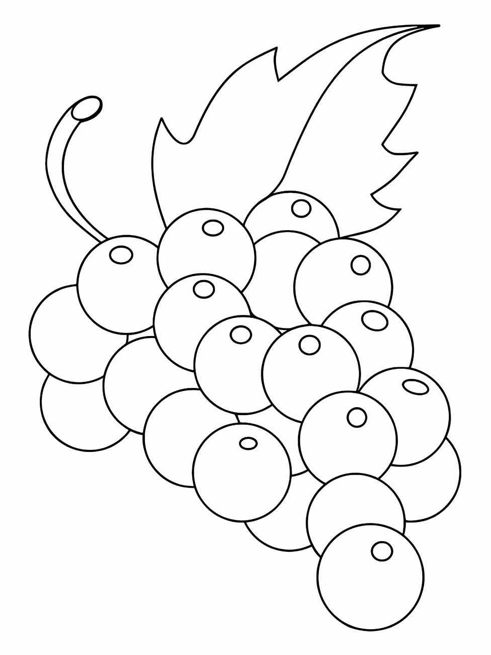 Grape coloring page (26)