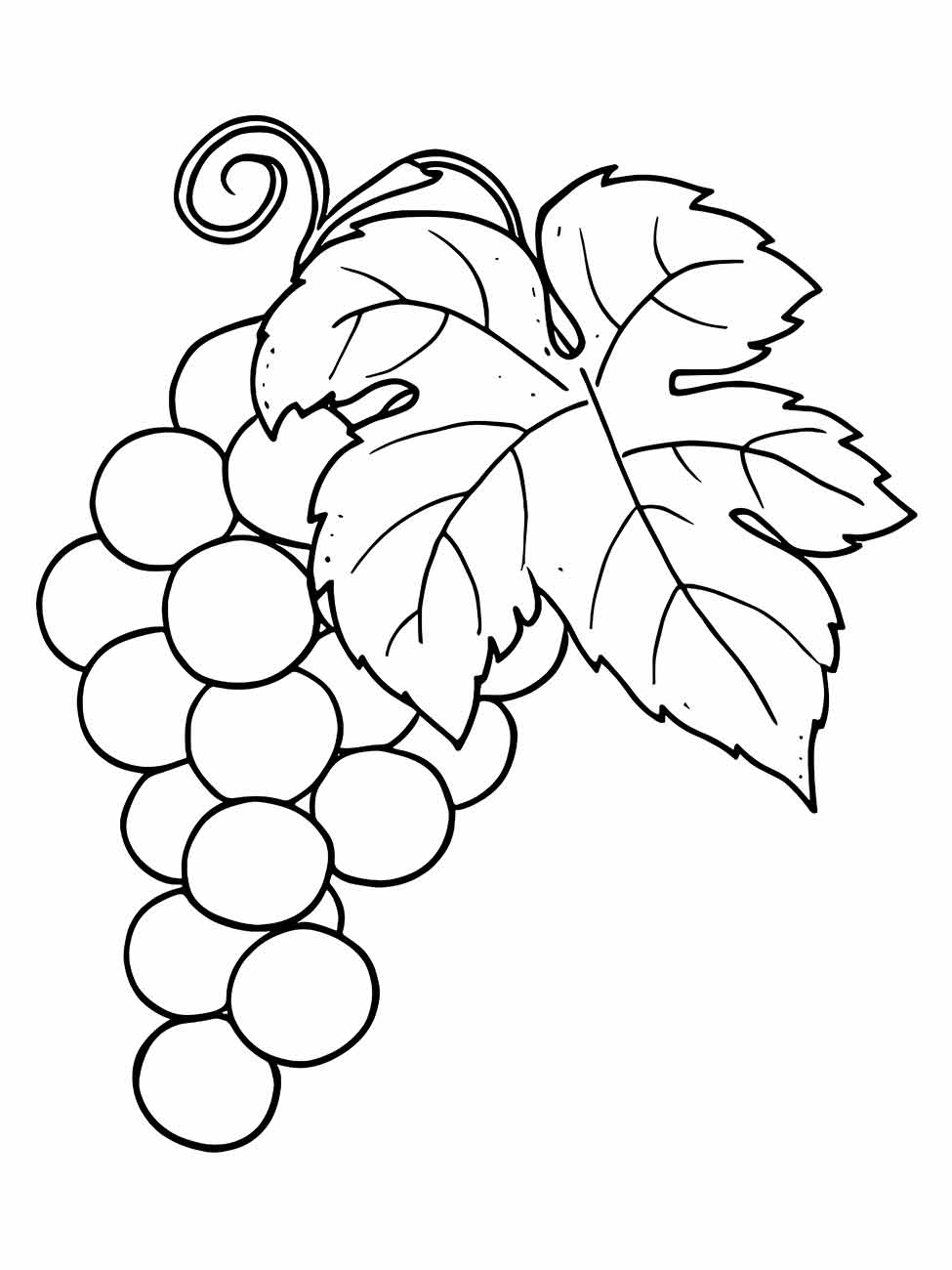 Grape coloring page (30)