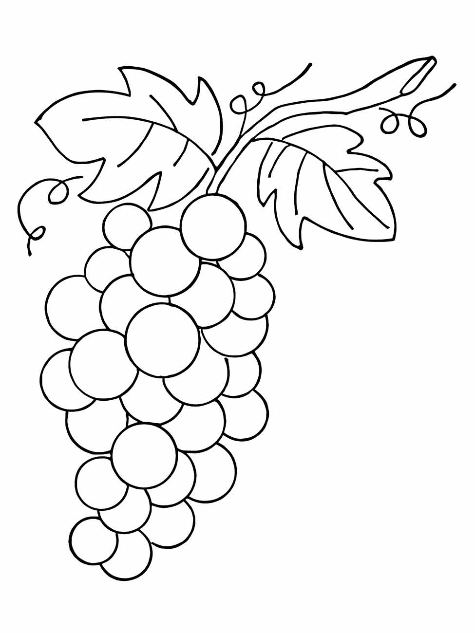 Grape coloring page (31)