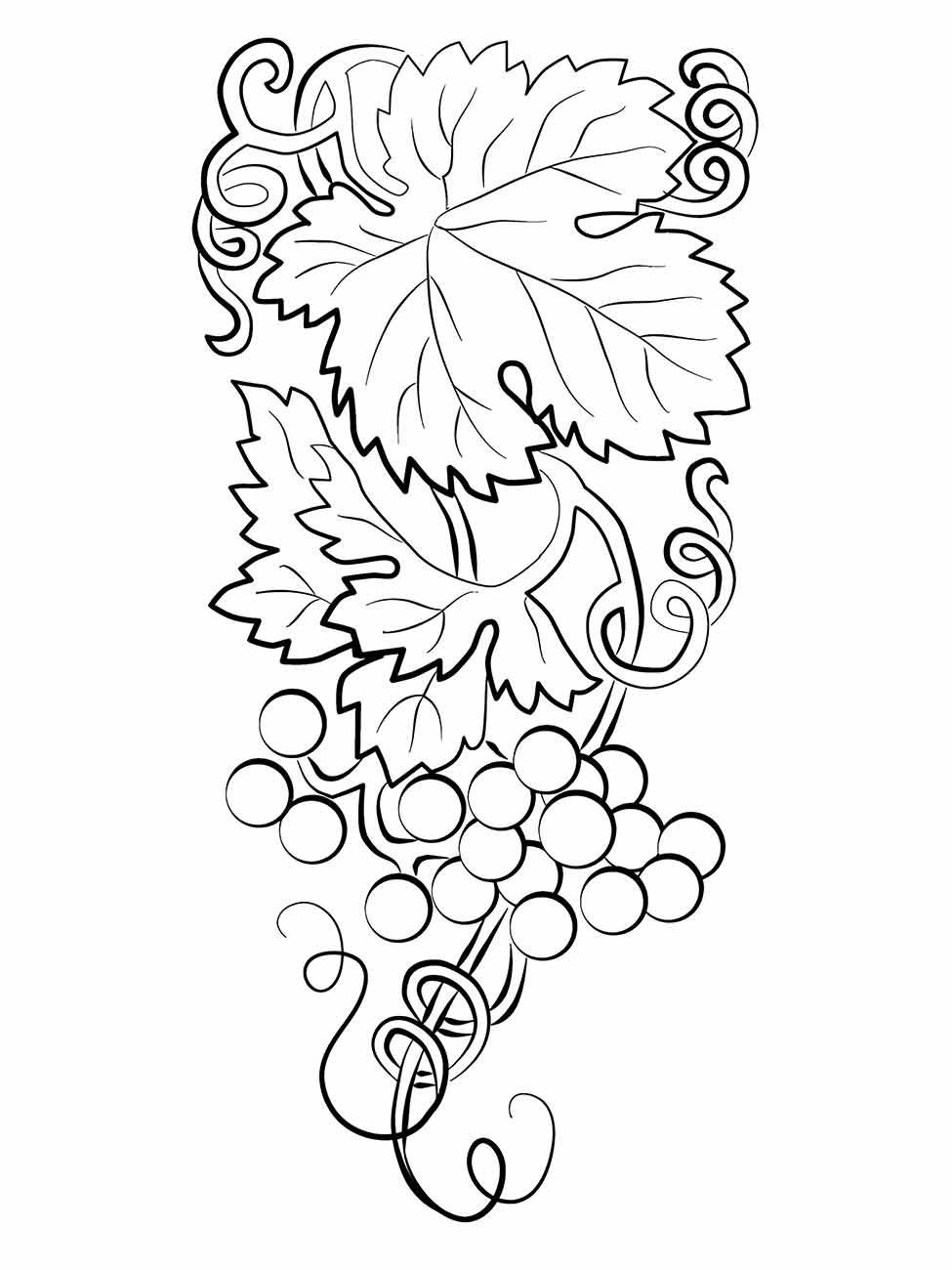 Grape coloring page (5)