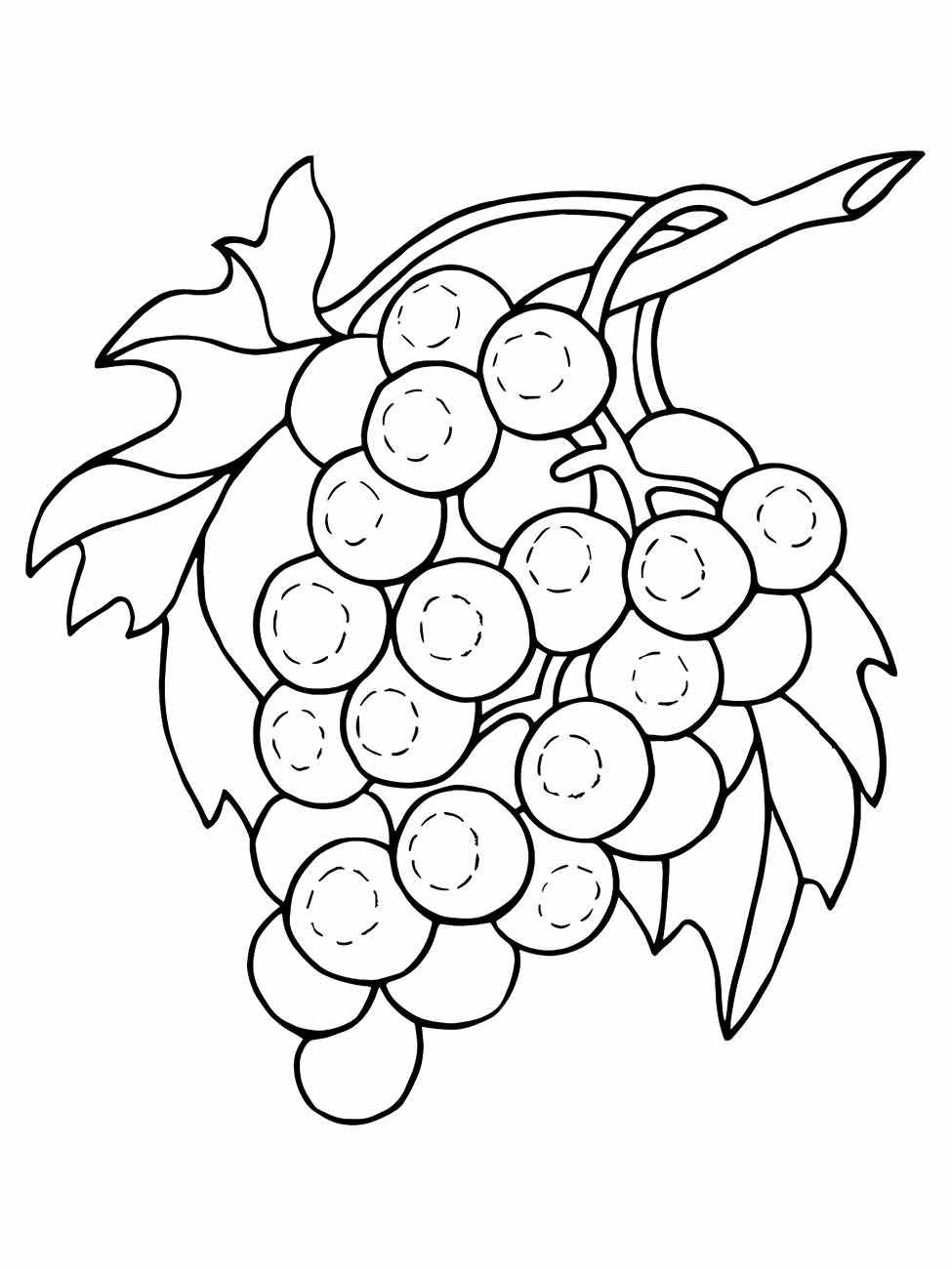 Grape coloring page (7)