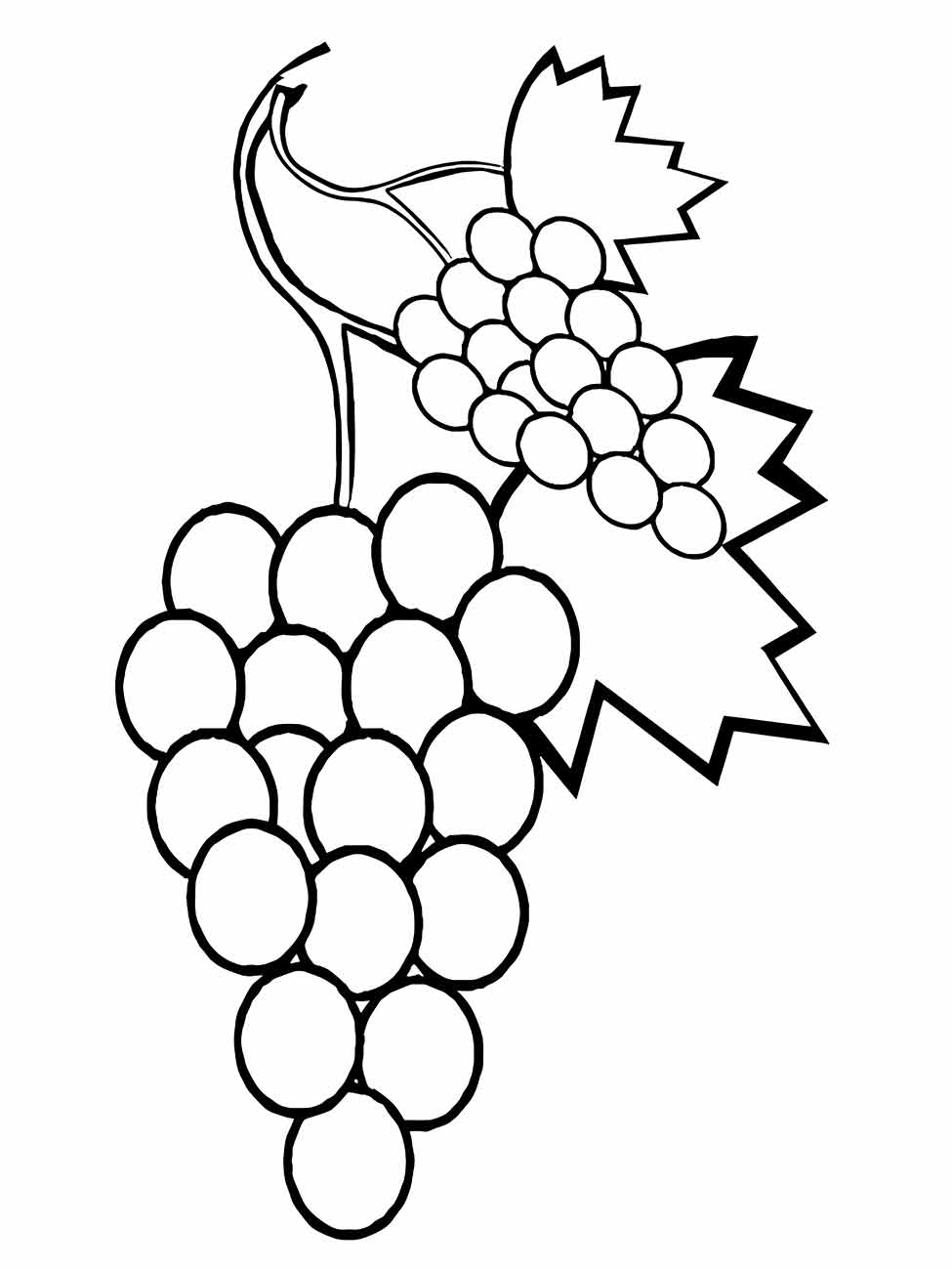 Grape coloring page (9)