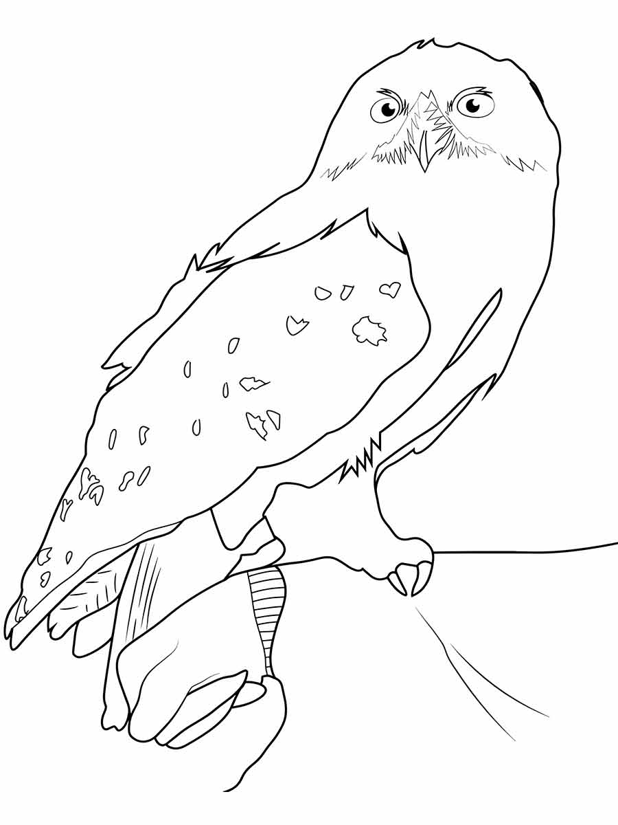 Harry Potter coloring page (25)