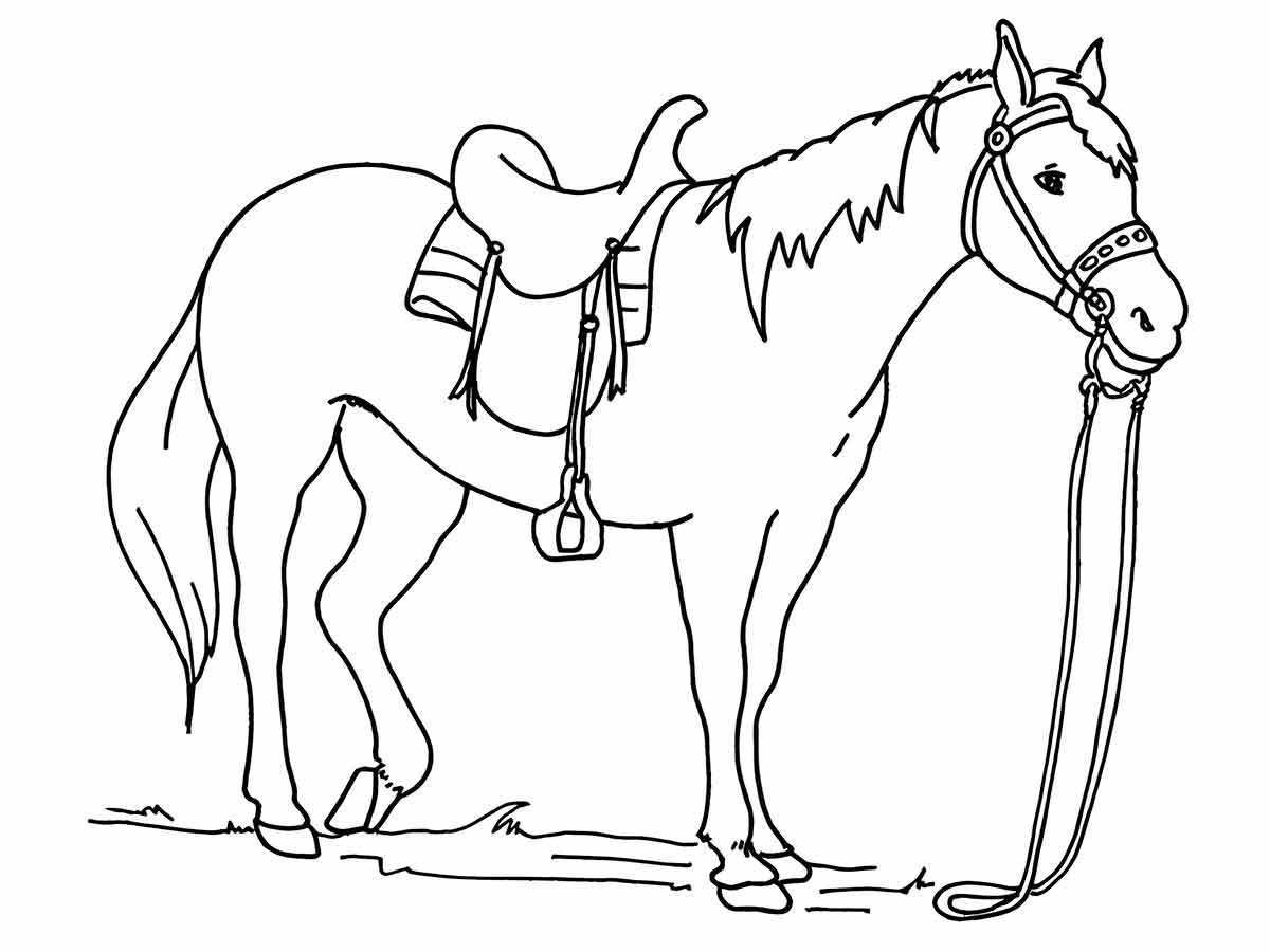 Horse coloring page (11)