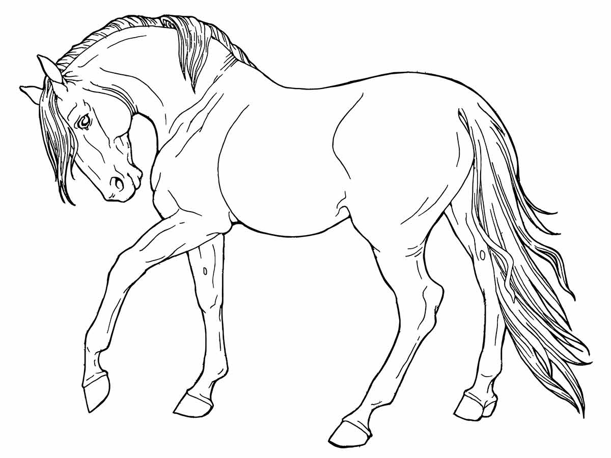 Horse coloring page (12)