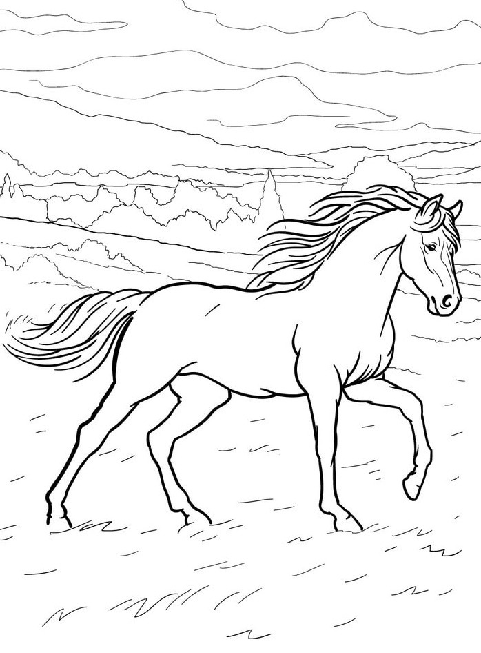 Horse coloring page (16)