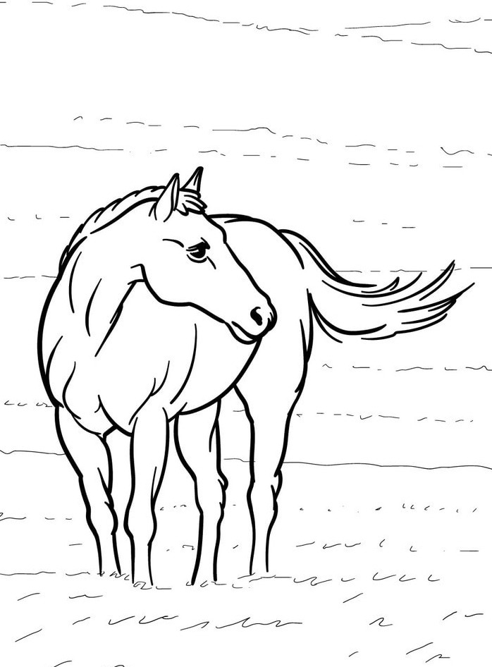 Horse coloring page (17)