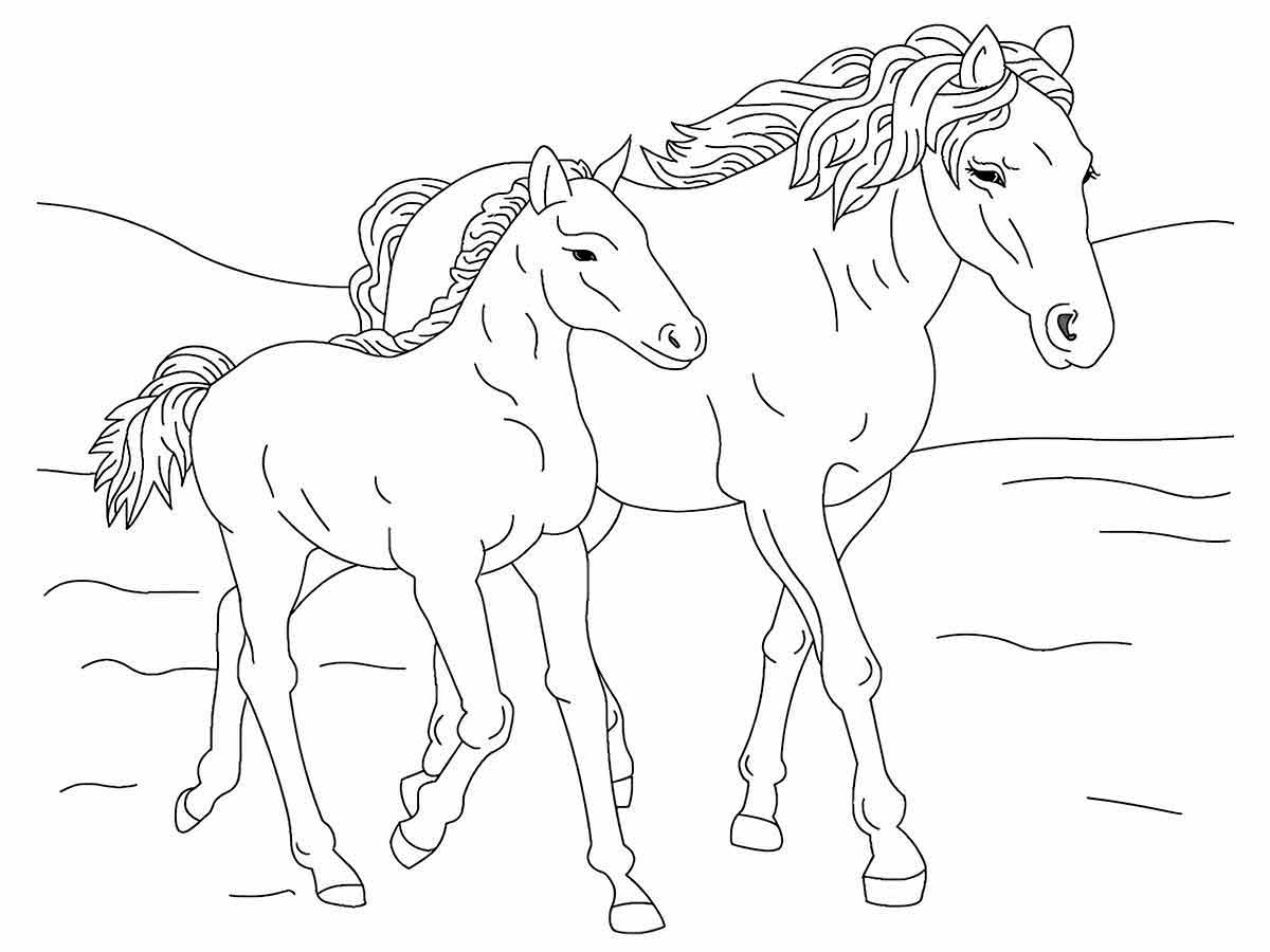 Horse coloring page (18)