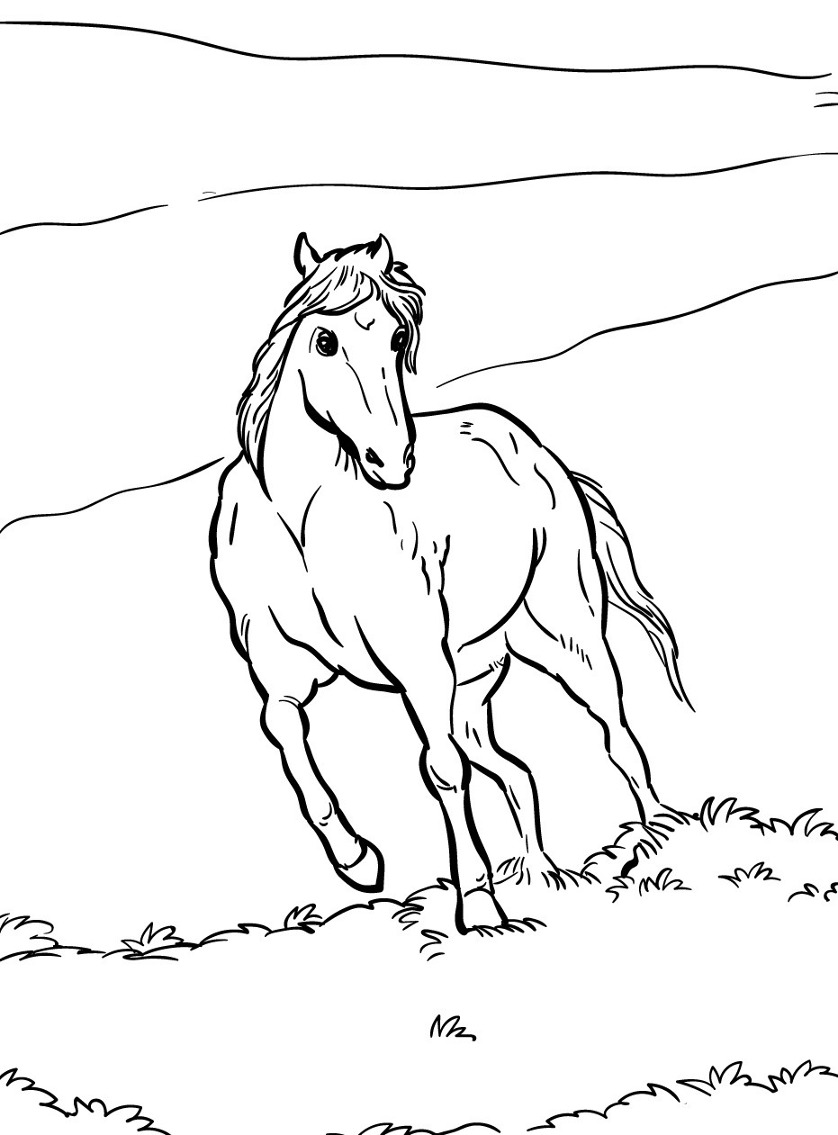 Horse coloring page (18)