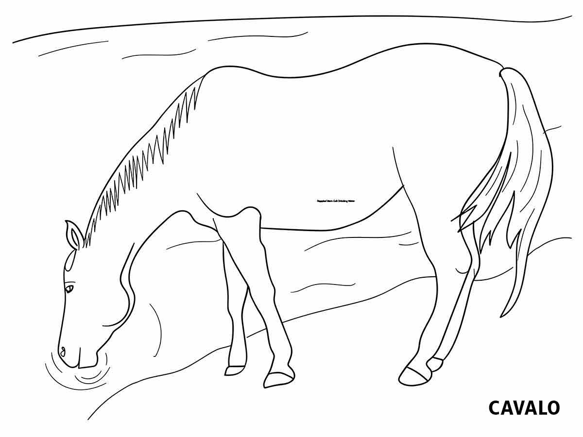 Horse coloring page (20)