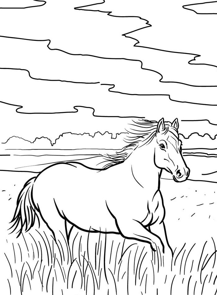 Horse coloring page (20)