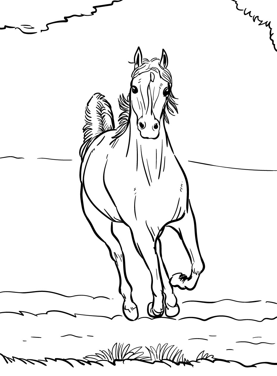 Horse coloring page (21)