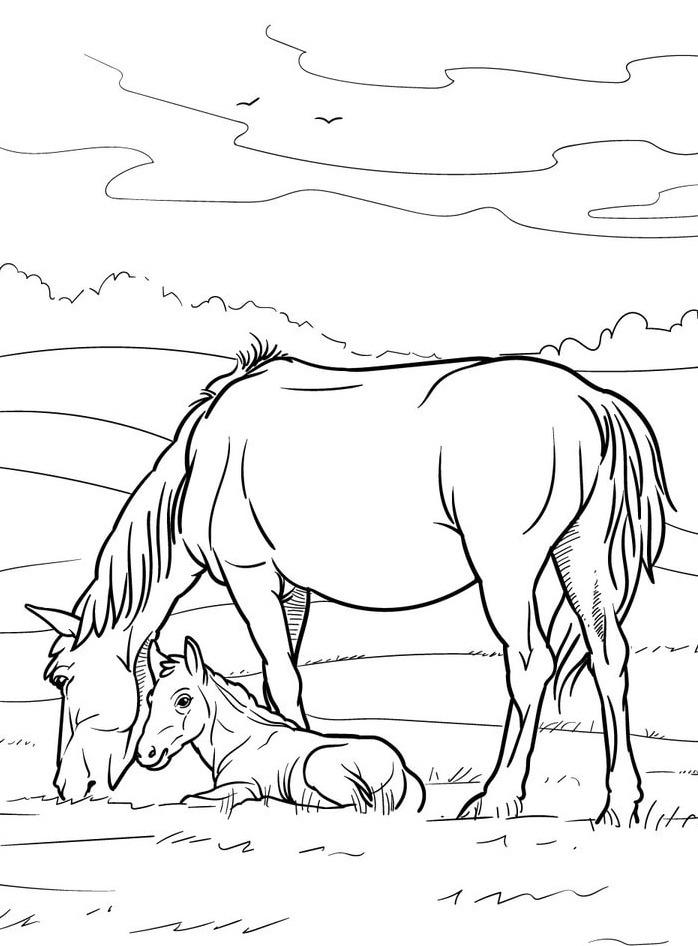 Horse coloring page (23)