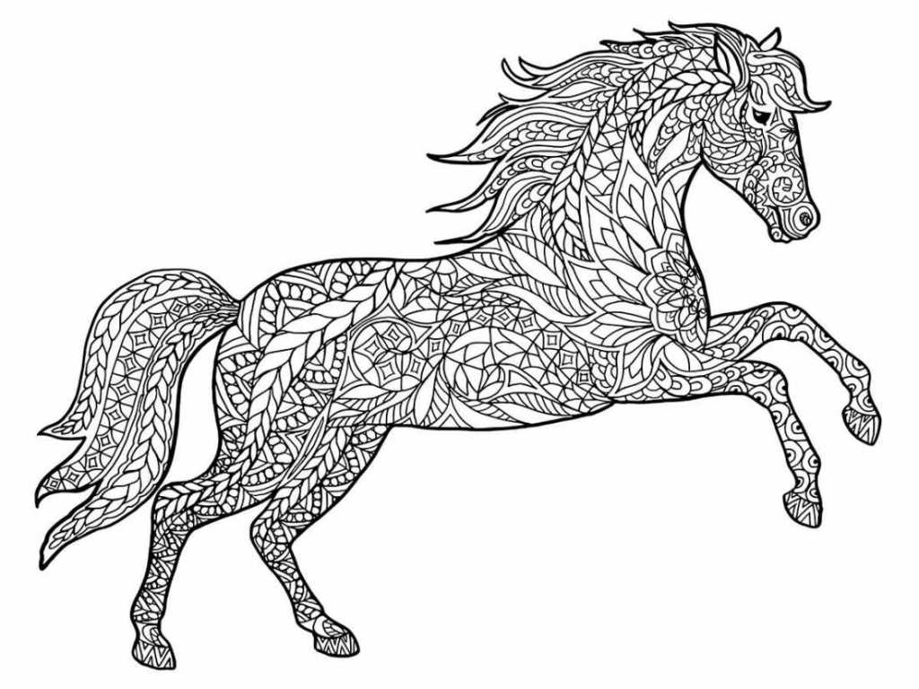 Horse coloring page (24)