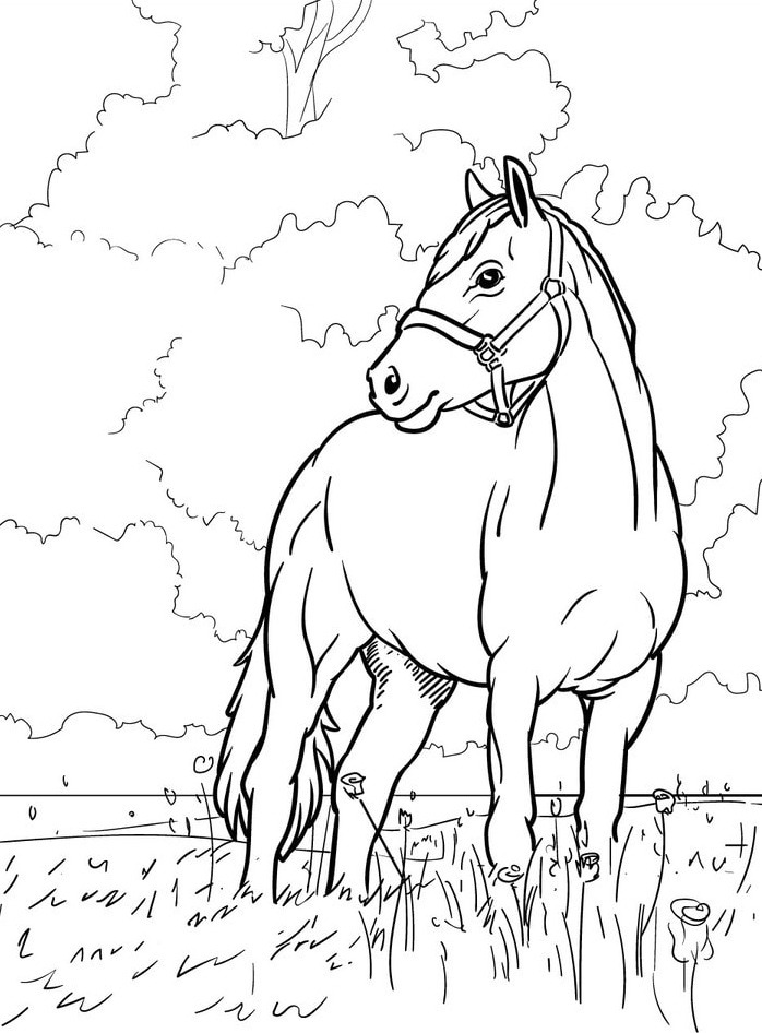 Horse coloring page (24)