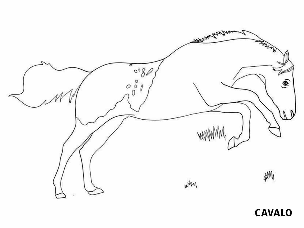 Horse coloring page (25)