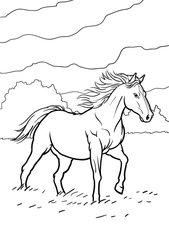 Horse coloring page (25)