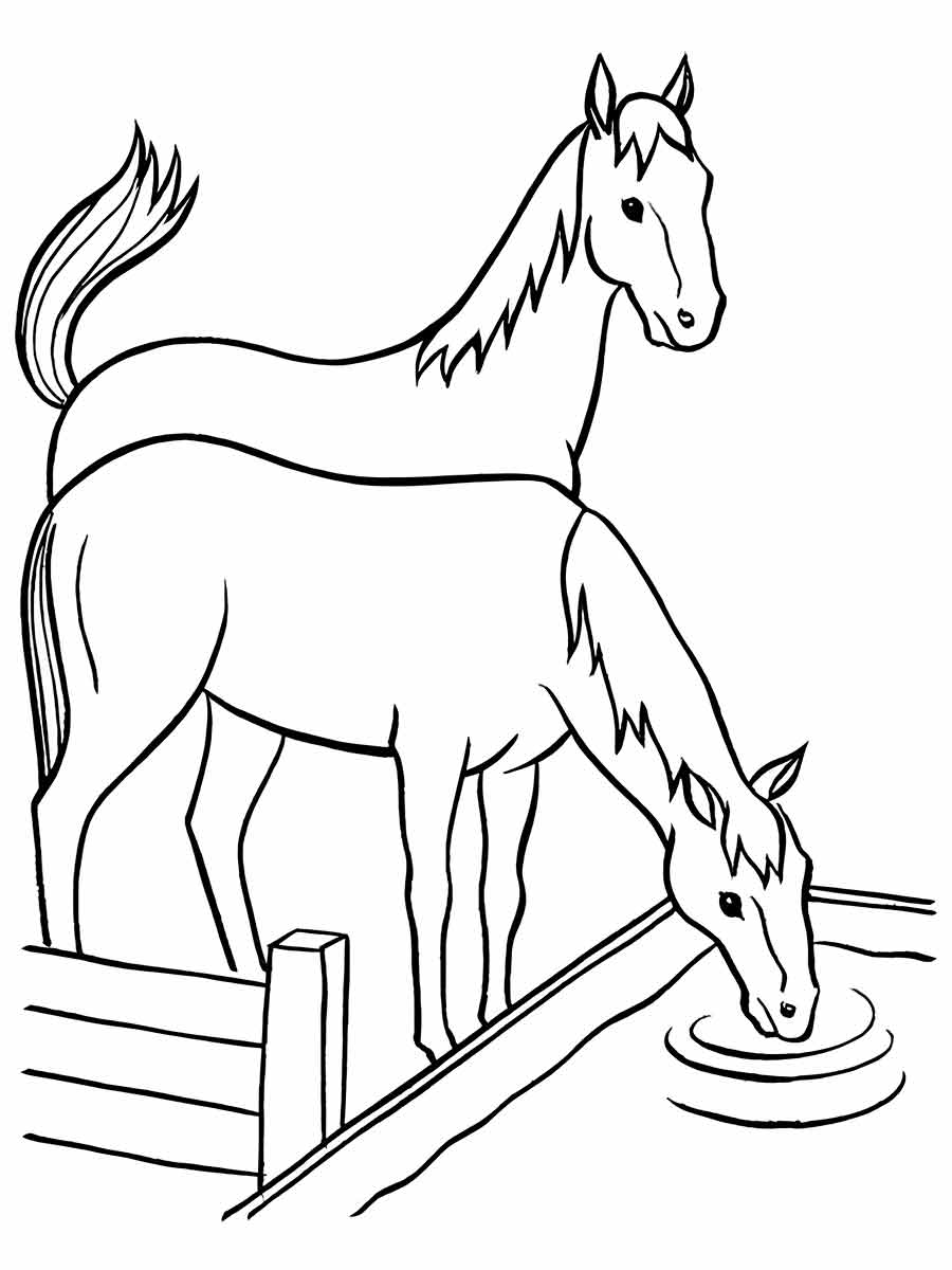 Horse coloring page (27)