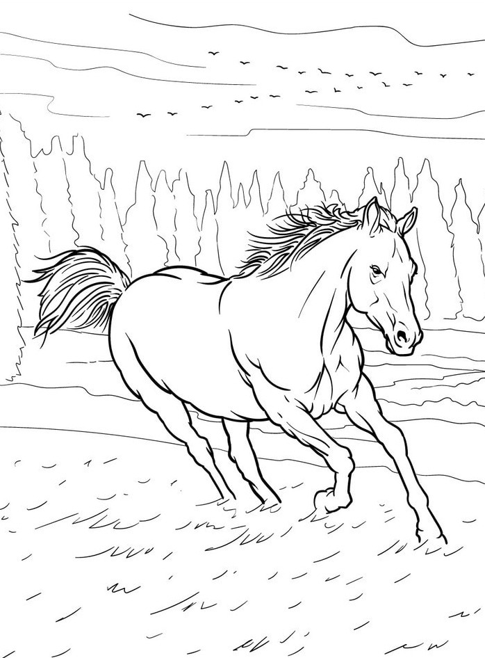 Horse coloring page (27)