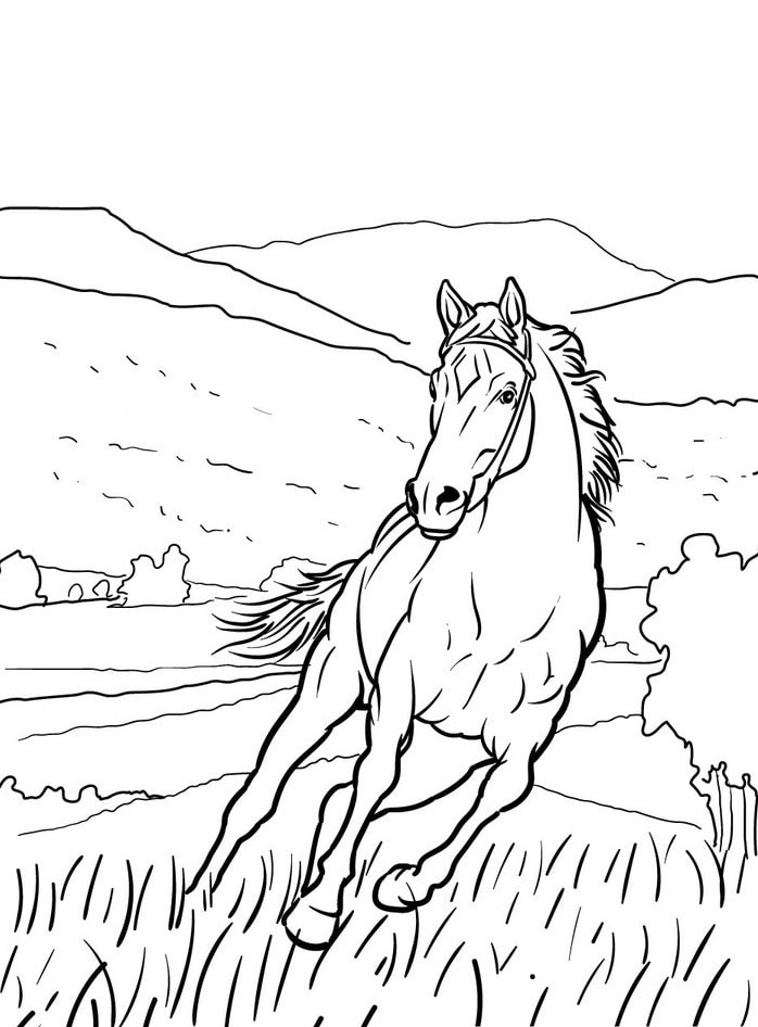 Horse coloring page (29)