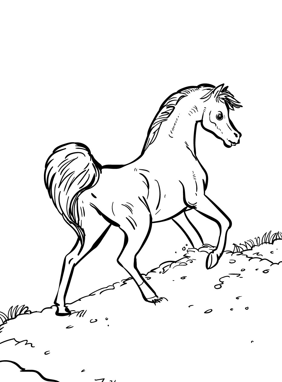 Horse coloring page (30)