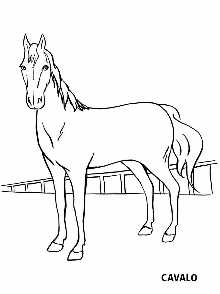 Horse coloring page (31)