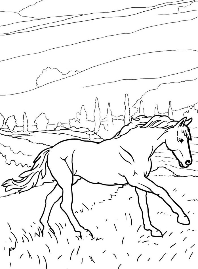 Horse coloring page (31)