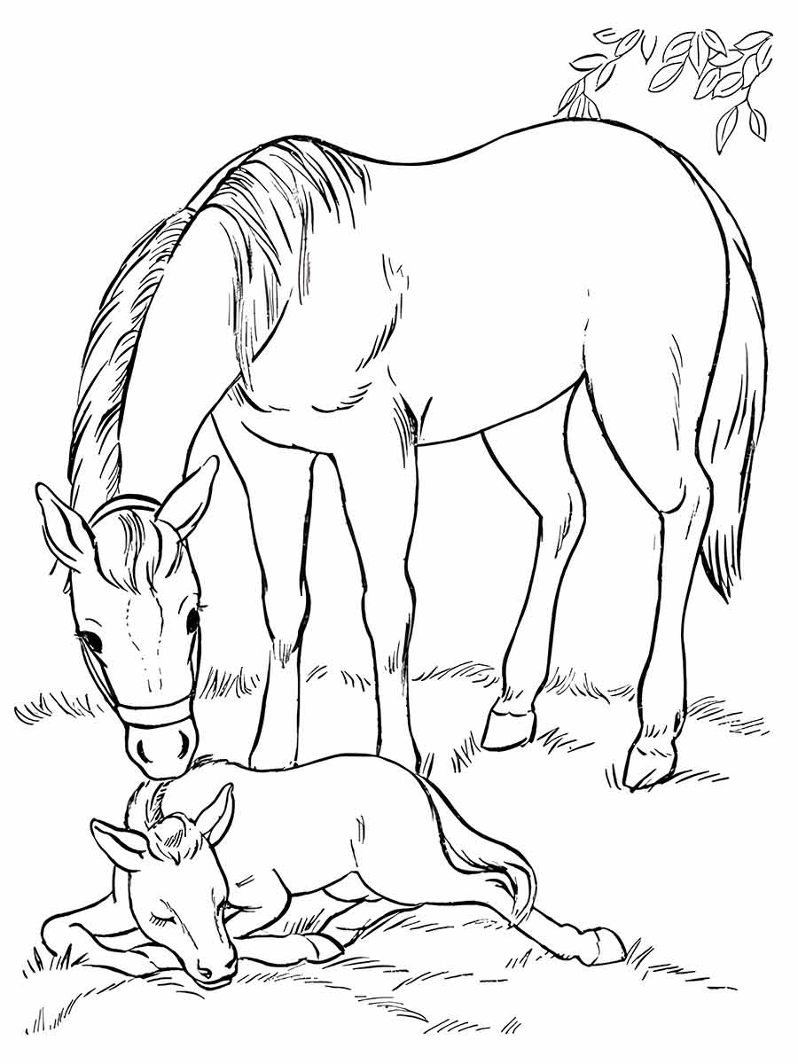 Horse coloring page (32)