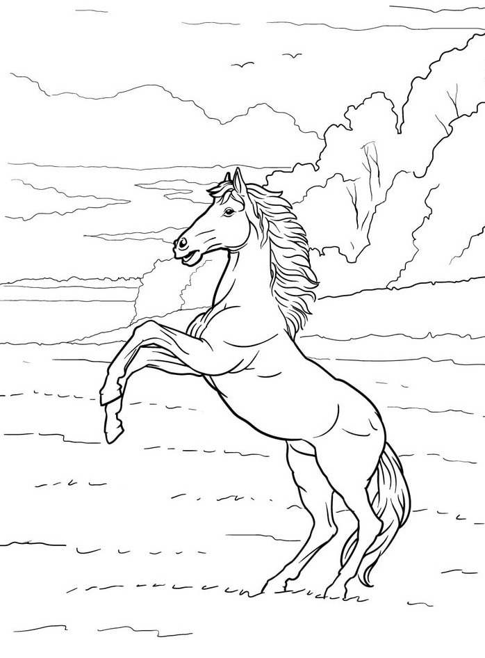 Horse coloring page (34)