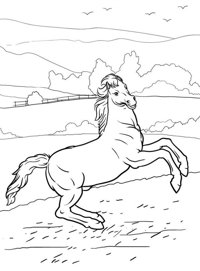 Horse coloring page (38)