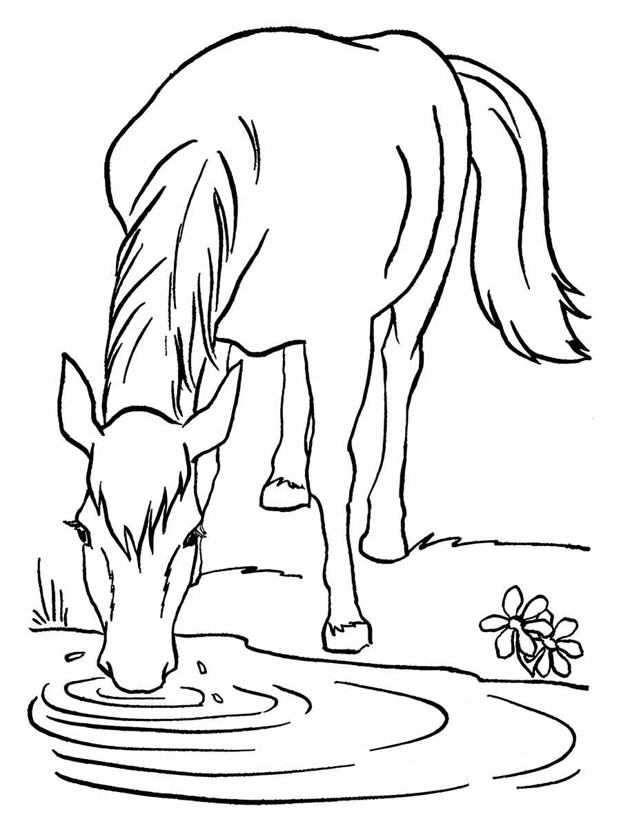 Horse coloring page (39)