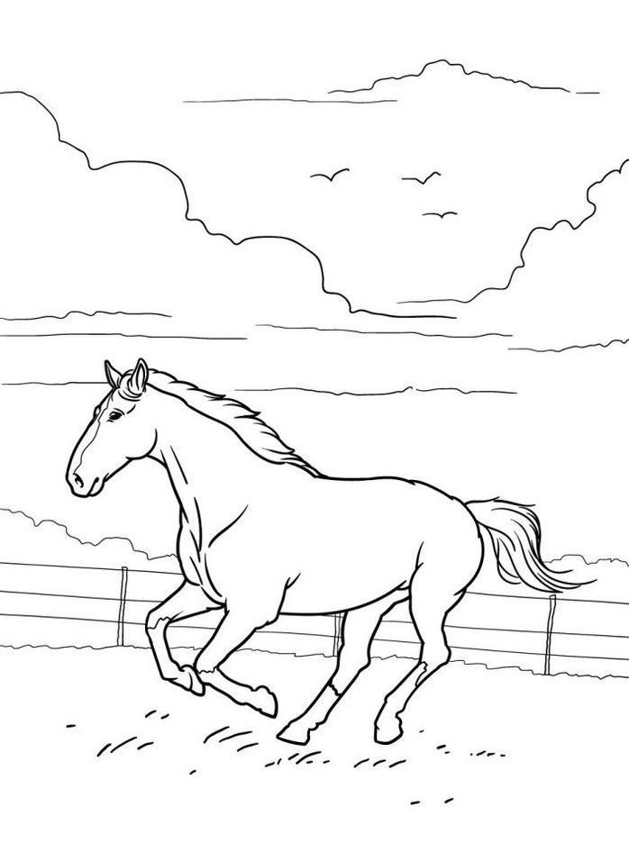 Horse coloring page (39)