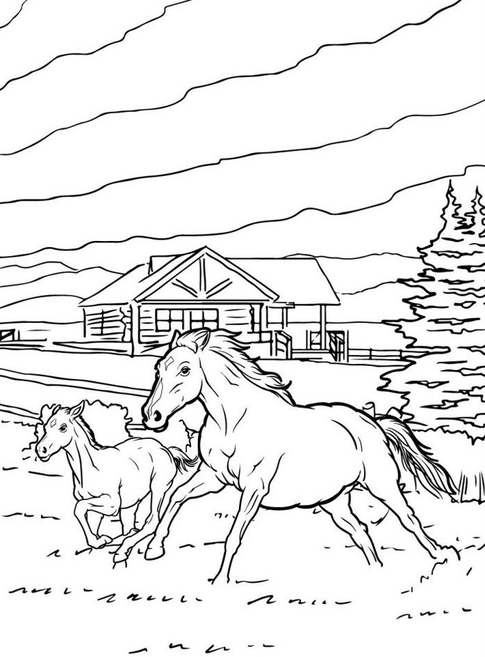 Horse coloring page (41)