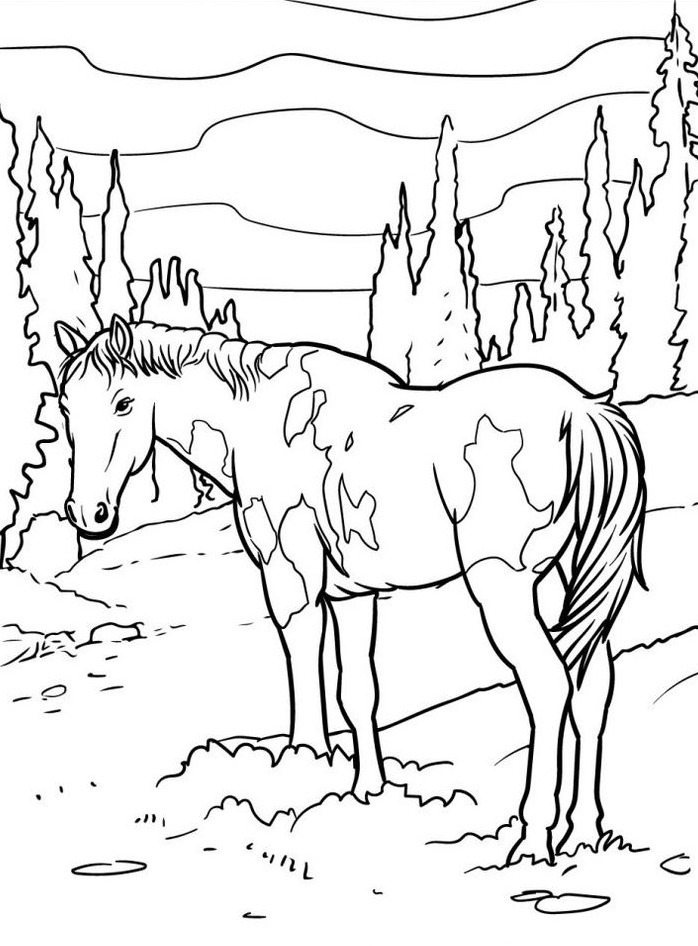 Horse coloring page (42)