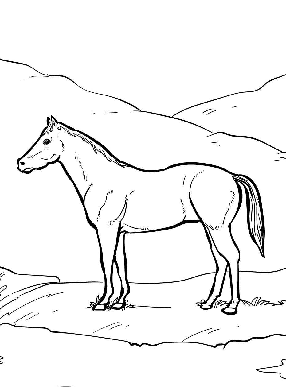 Horse coloring page (45)