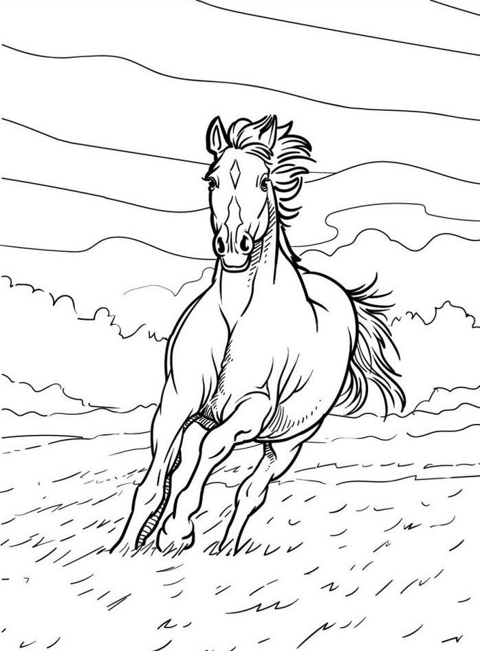 Horse coloring page (46)