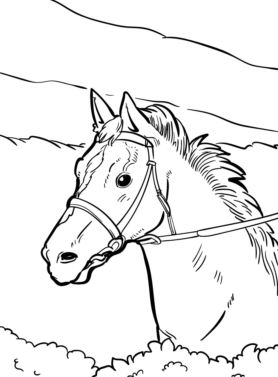 Horse coloring page (47)