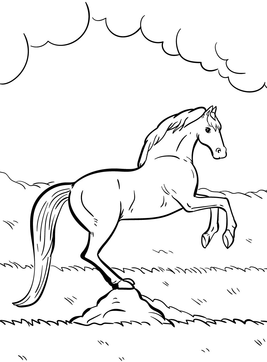 Horse coloring page (48)