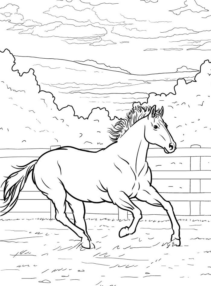 Horse coloring page (51)