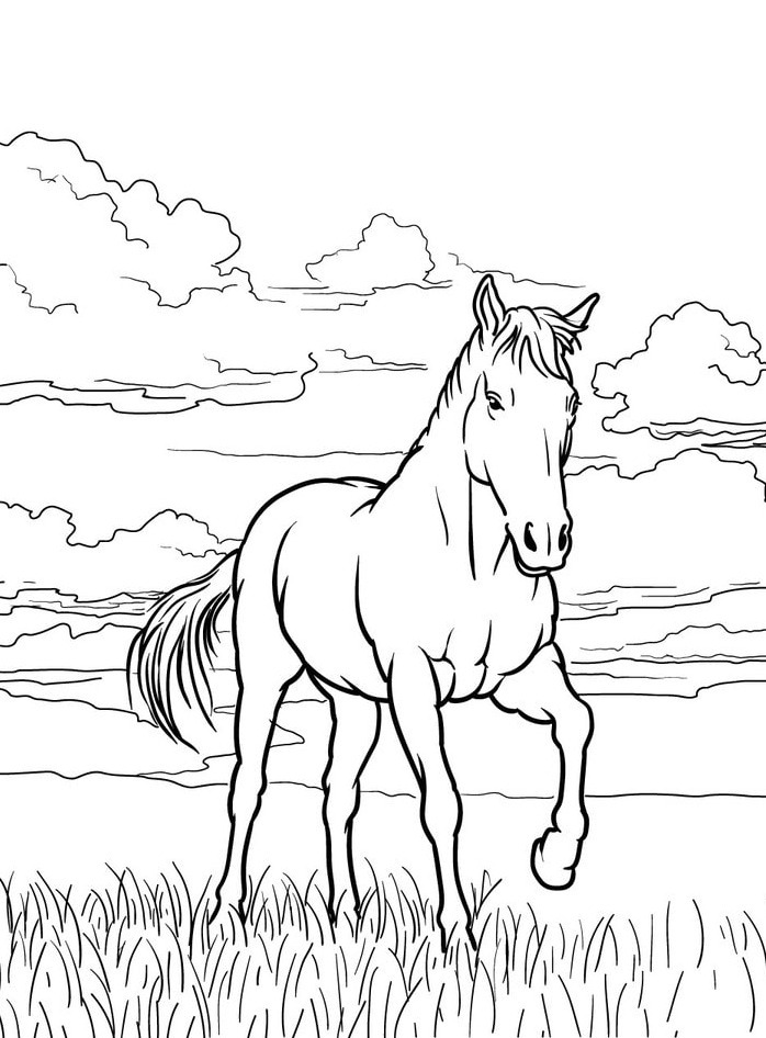 Horse coloring page (52)