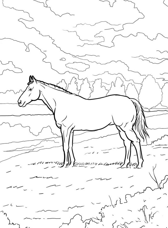 Horse coloring page (55)