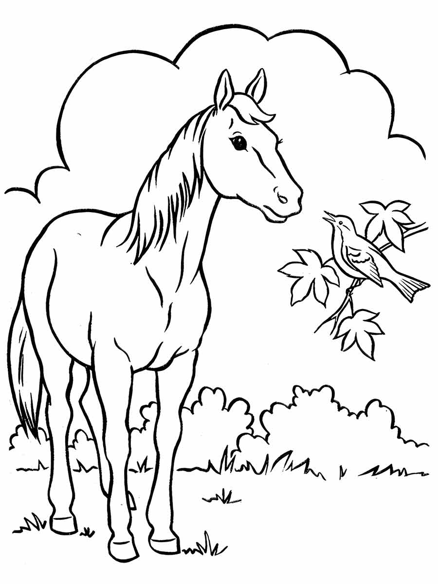 Horse coloring page (61)