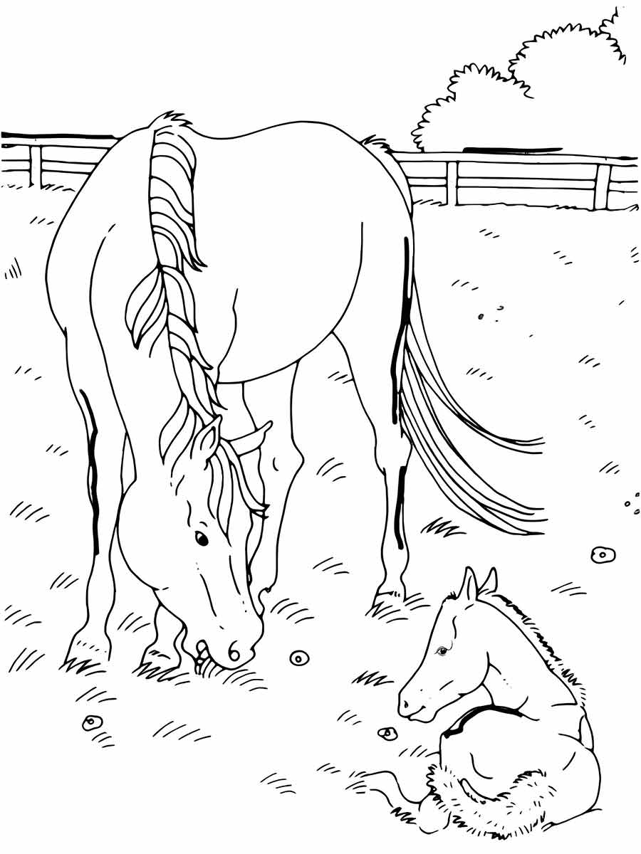 Horse coloring page (68)