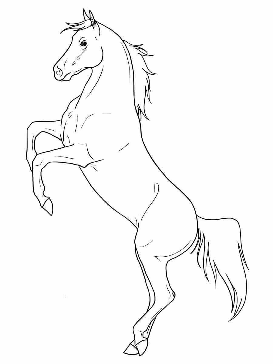 Horse coloring page (69)