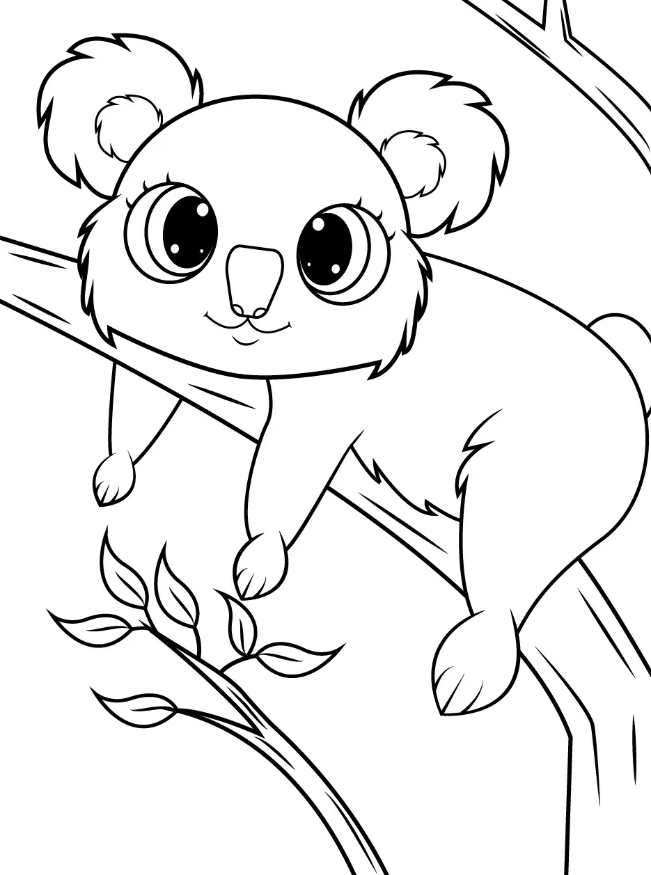 Koala coloring pages (10)