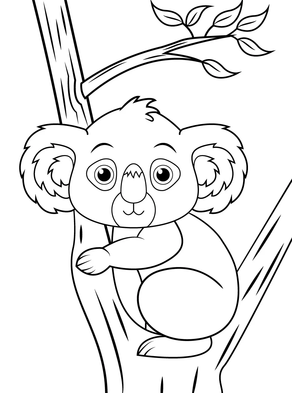 Koala coloring pages (14)