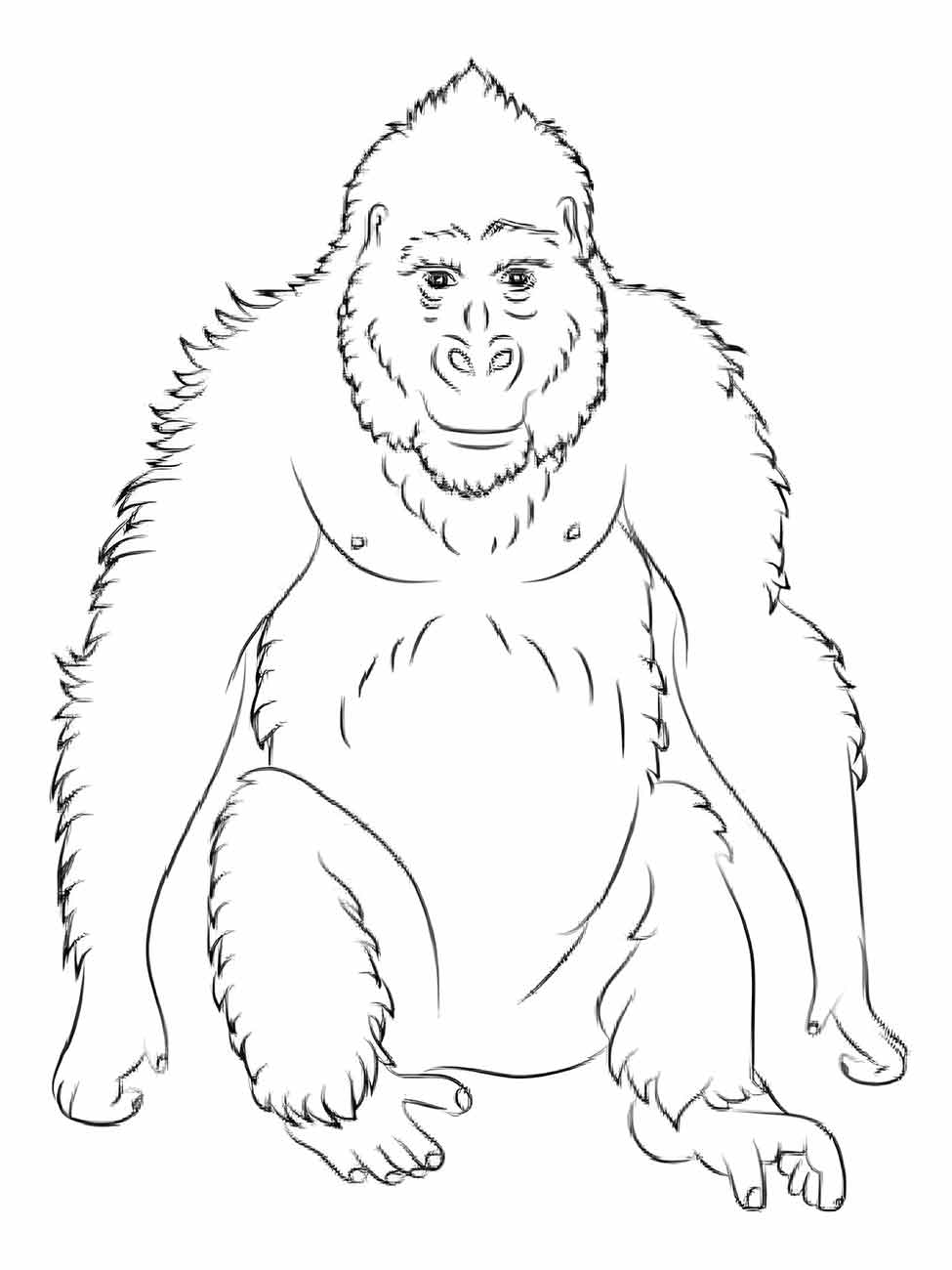 Monkeys coloring page (22)