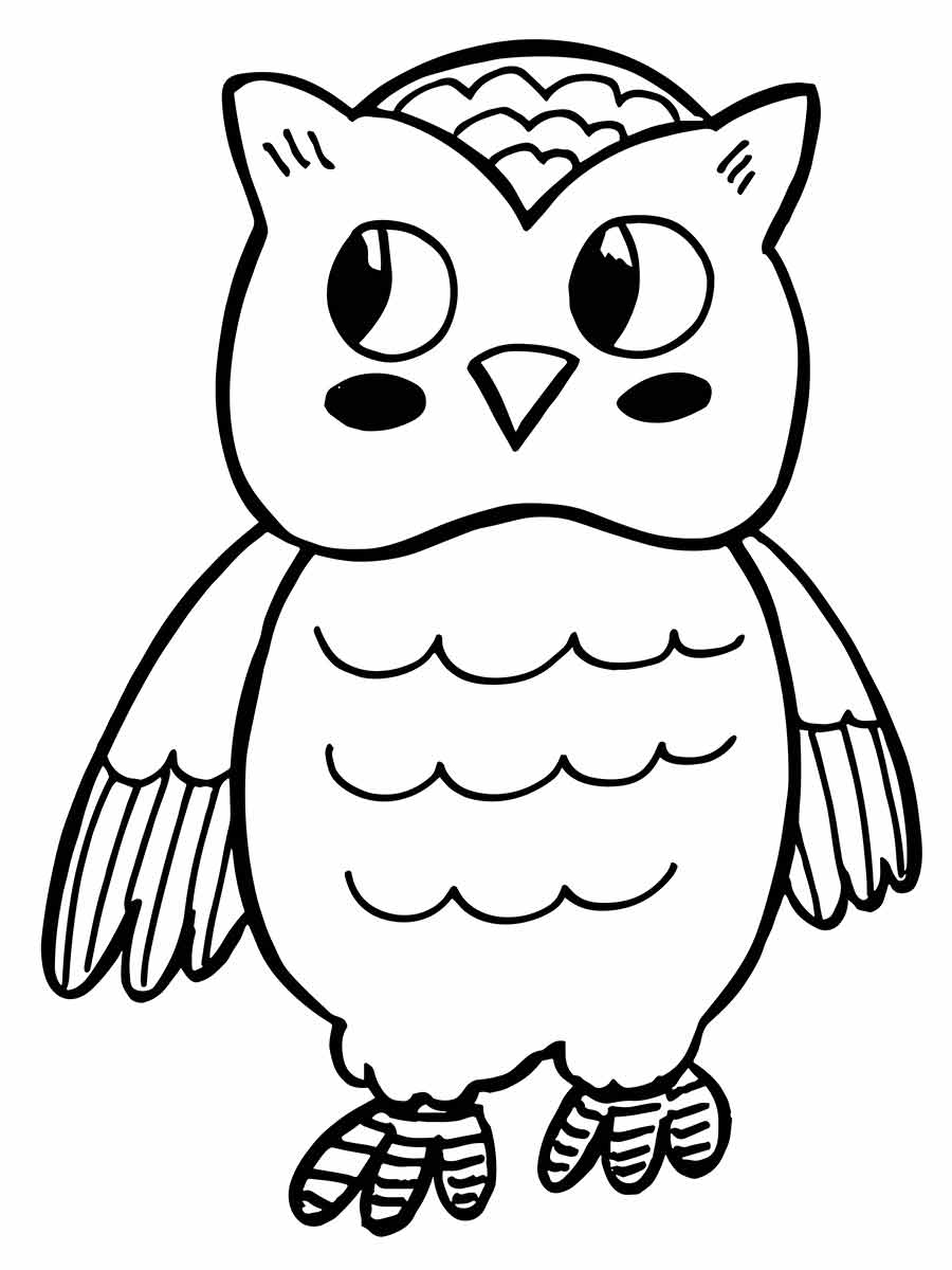 Owl coloring page (15)