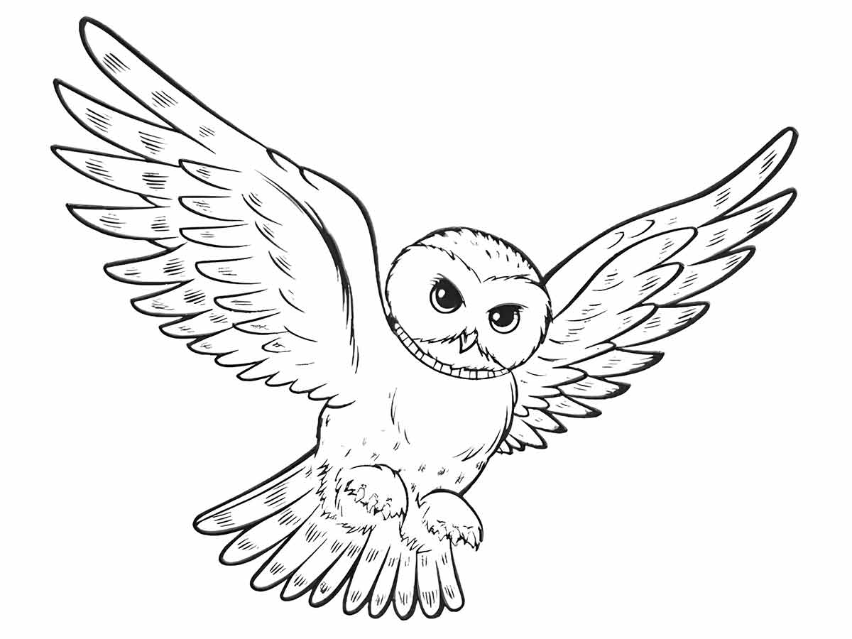 Owl coloring page (22)