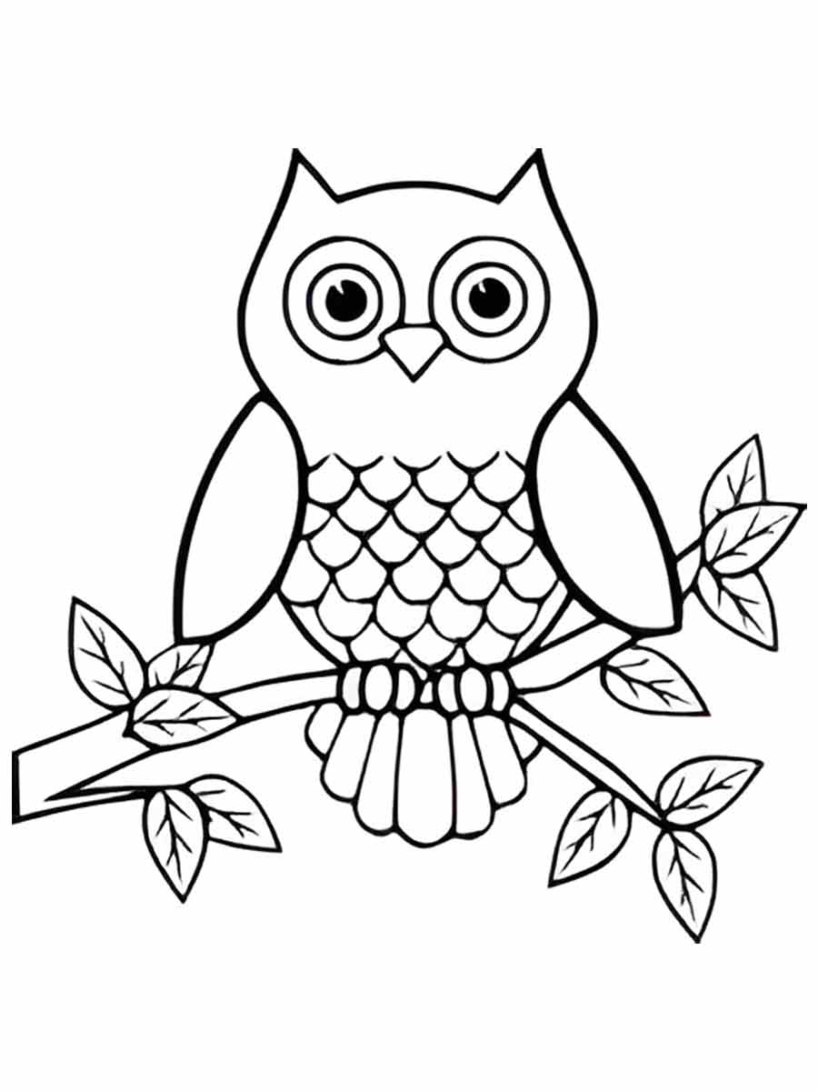 Owl coloring page (23)